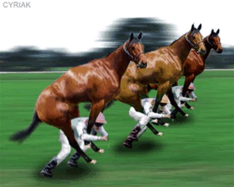horse racing gif